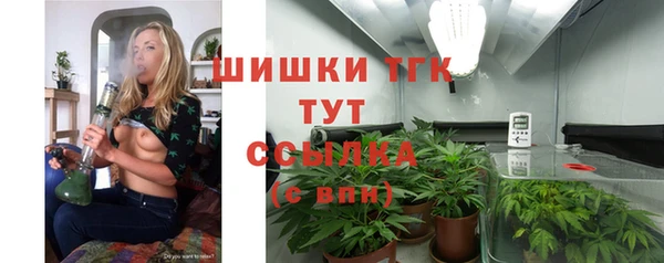 дурь Арсеньев