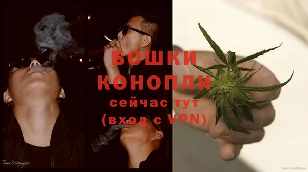 дурь Арсеньев