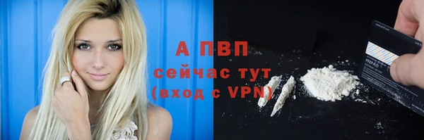 гашик Пестово