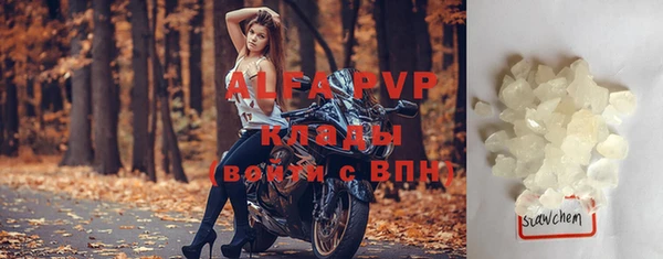 винт Алексин