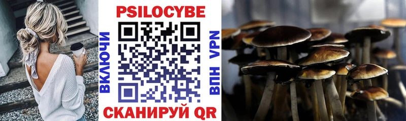 Псилоцибиновые грибы Psilocybine cubensis Туапсе